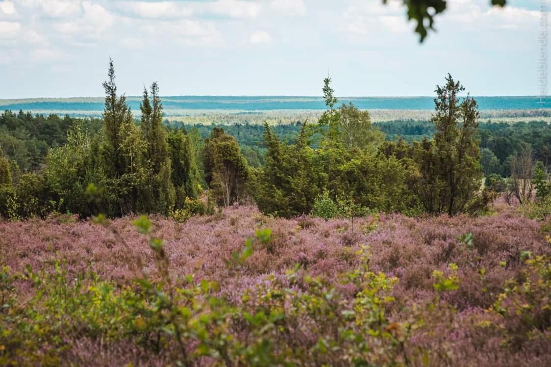 Ferienwohnung Ram 1 Хермансбург Екстериор снимка